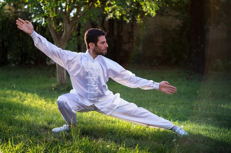 Chen Style Tai Chi Pose